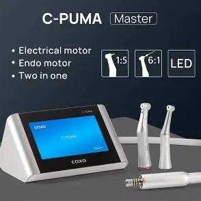 Motor eléctrico C Puma Master Coxo